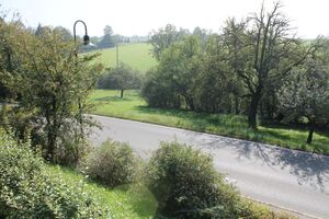 Dieses Gebiet soll Streuobstwiese bleiben