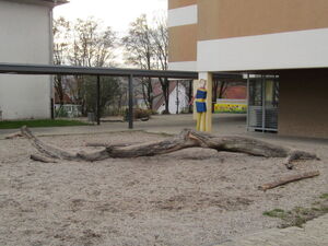 Traurige Überreste des zu erneuernden Baummikados