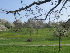 Schlegert in Bempflingen und Hohe Äcker/Rohräcker in Kleinbettlingen bleiben unangetastet