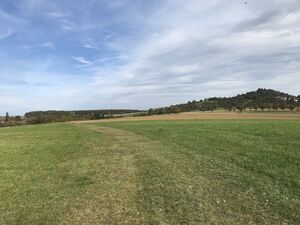 Bisher nur Grasweg: künftiger geteerter Rad- und Wirtschaftsweg