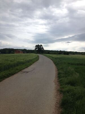 Nach der Ernte soll dieser Feldweg saniert werden