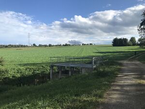 Blick auf den künftigen Standort des Dirtparks bei der Regenrückhalteanlage