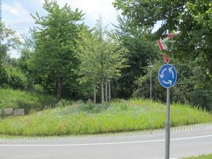 So schön bunt sieht der Kreisverkehr leider nur wenige Monate im Sommer aus!