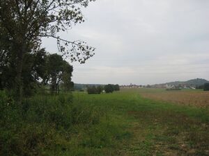 Am Steidenbach vor Bahndamm hätte das RÜB 1000 (Regenüberlaufbecken) gebaut werden sollen (Hintergrund Kleinbettlingen)