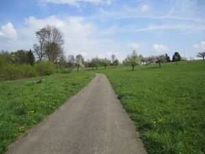 Hier wird die Gemeinschaftschuppenanlage Steinbach entstehen