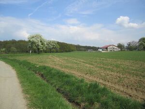 Acker am Abzweig nach Grafenberg