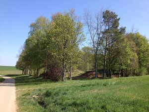 Ehemaliger Auffüllplatz in Kleinbettlingen