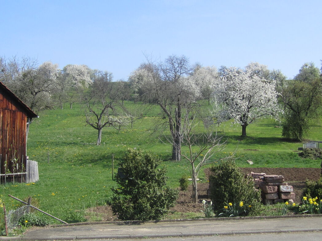 Blick von Herrenwiesenstraße (verlängert)