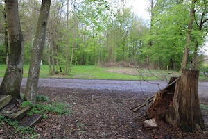 Festplatz Reinerwald (Foto: Oechsner)